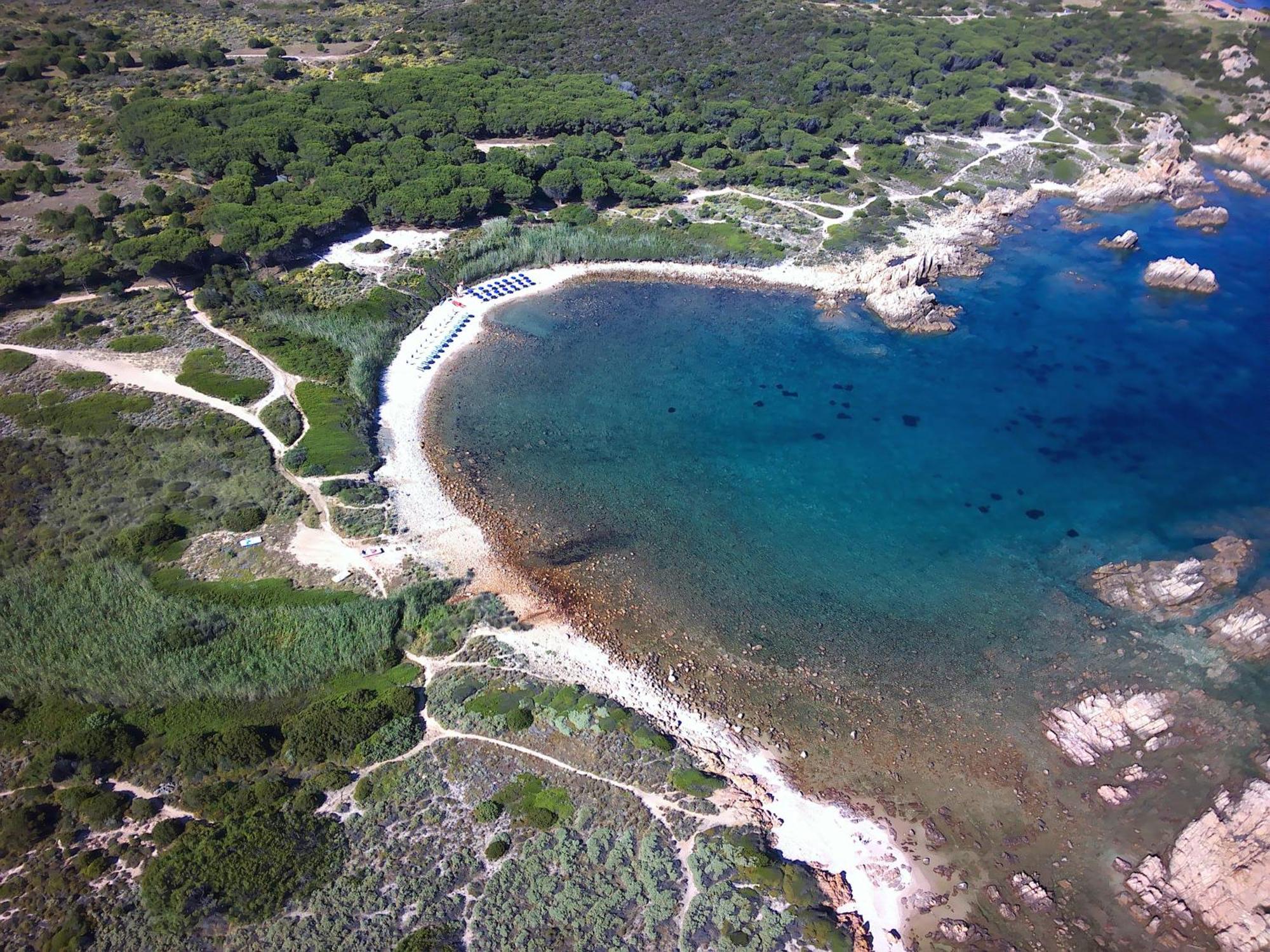 Gli Oleandri Di Calarossa - 5M Walk To The Beach Изола-Росса Экстерьер фото